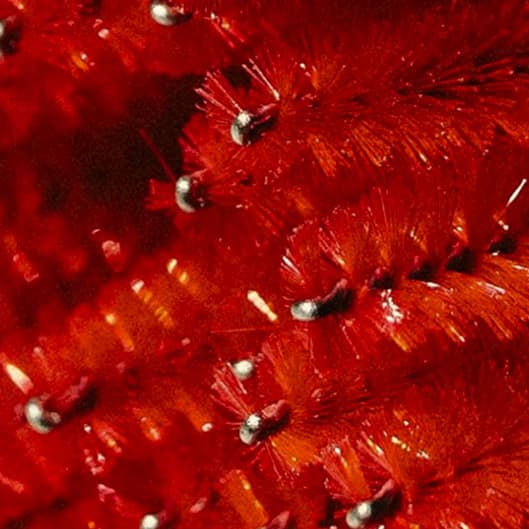 Eyelash lift and tint at Esthetics by Niccolette in Champion, OH